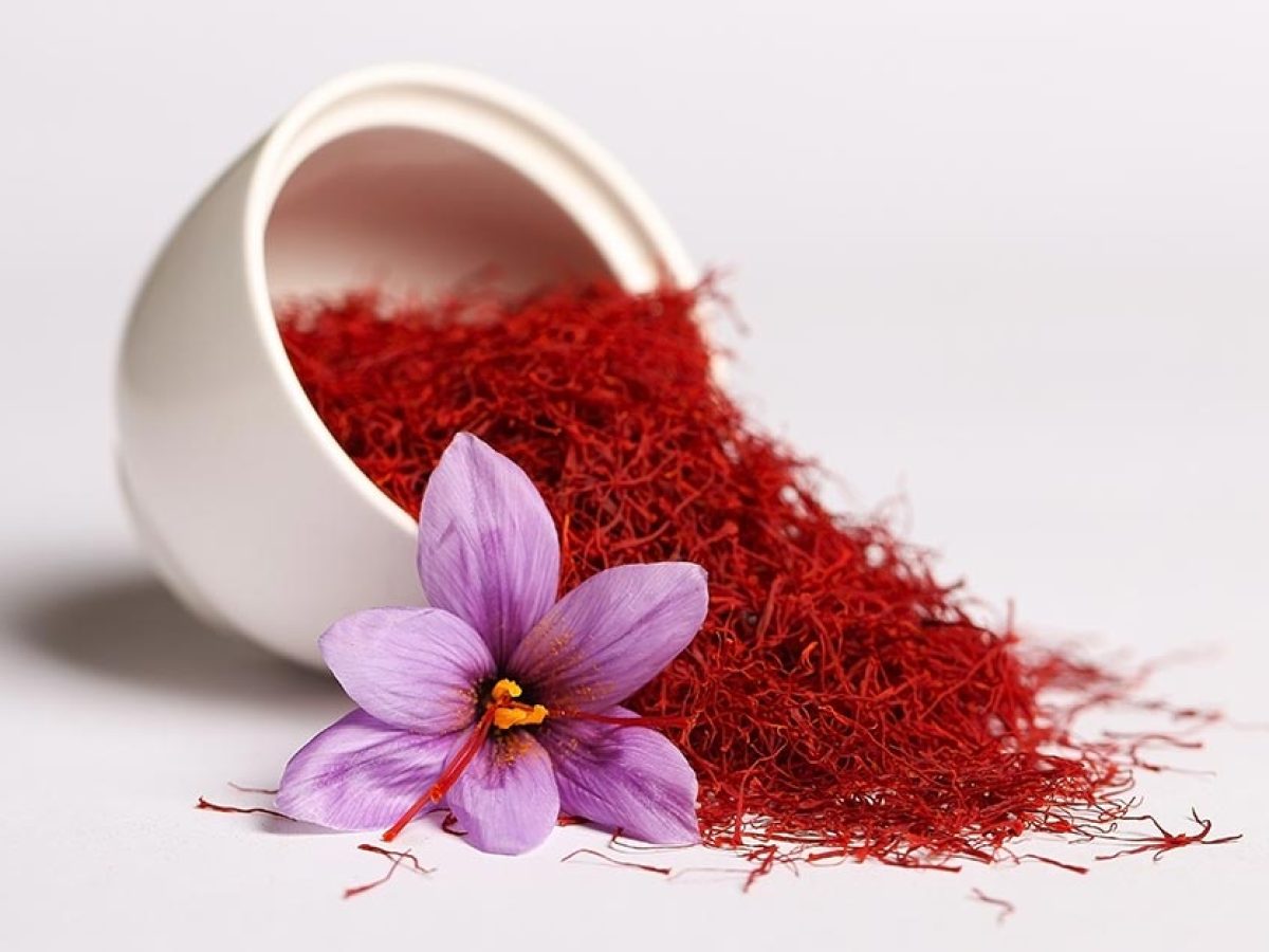 پروژه احداث و مدیریت کشت زعفران در خراسان